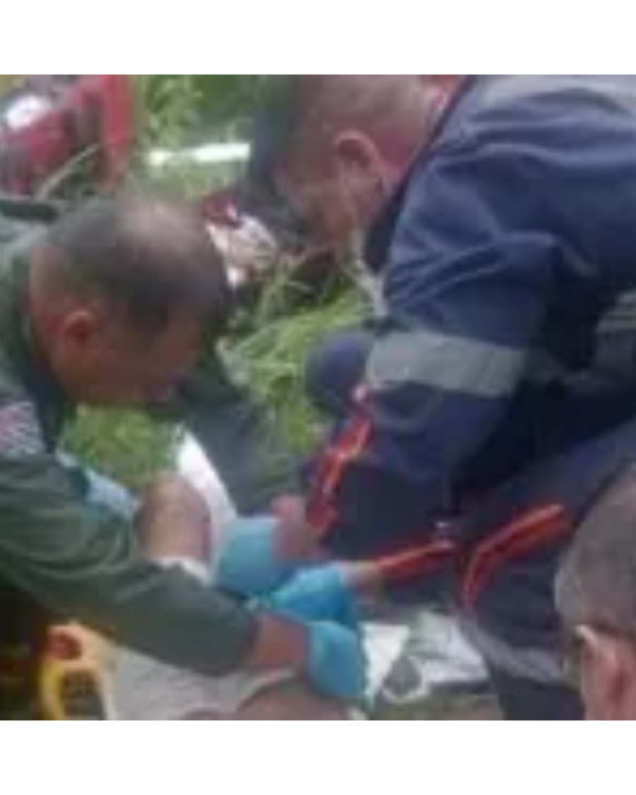 VÍDEO: Idosa de 69 anos tem braços e perna amputados após ataque de pitbulls 